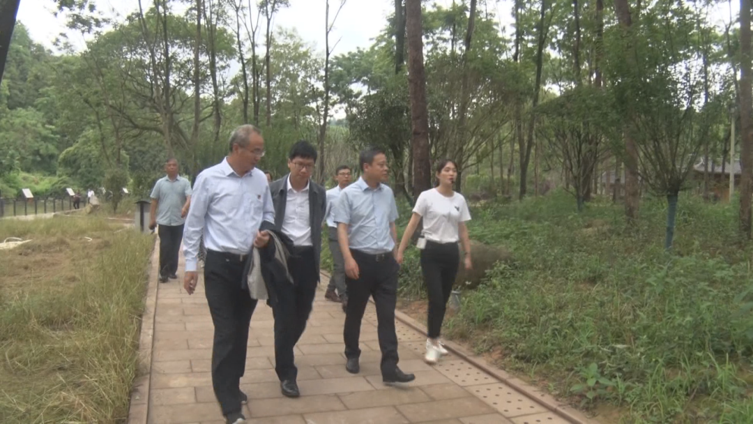 国家能源局华中监管局党组书记,局长王强一行到我县调研 | 信丰县信息