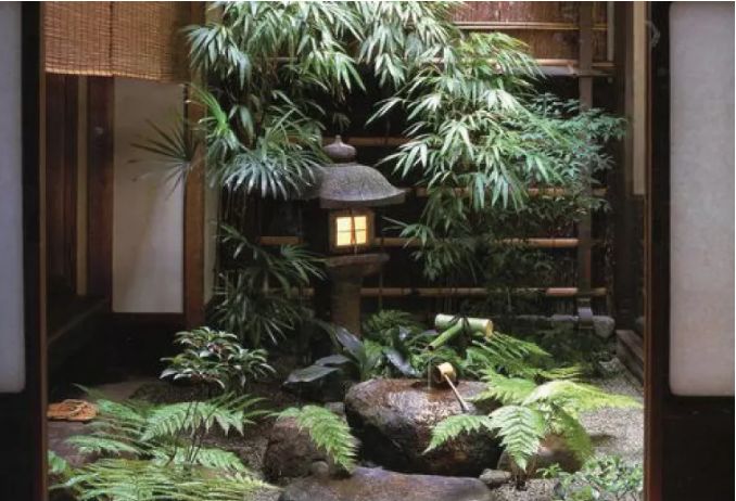 京都坪庭 世界上最小的庭院 十方建筑 微信公众号文章阅读 Wemp