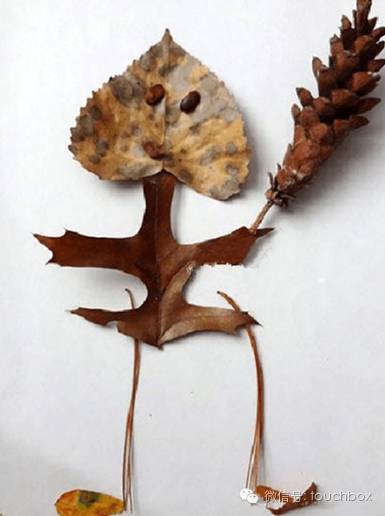 21把自然中捡拾的小花小草或者树种来个随意的拼搭,会变出怎样的形象?