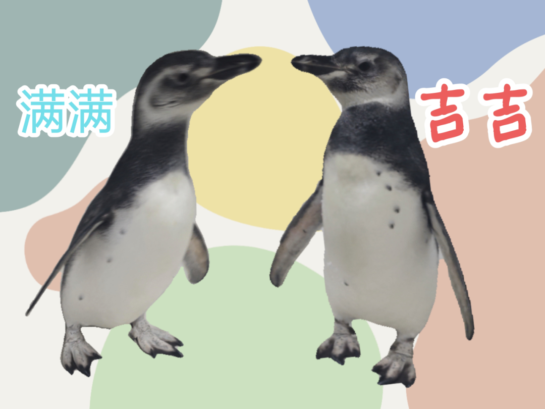 640?wx_fmt=png&from=appmsg