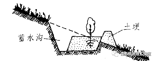 草方格沙障_草方格治沙_草方格沙障单价