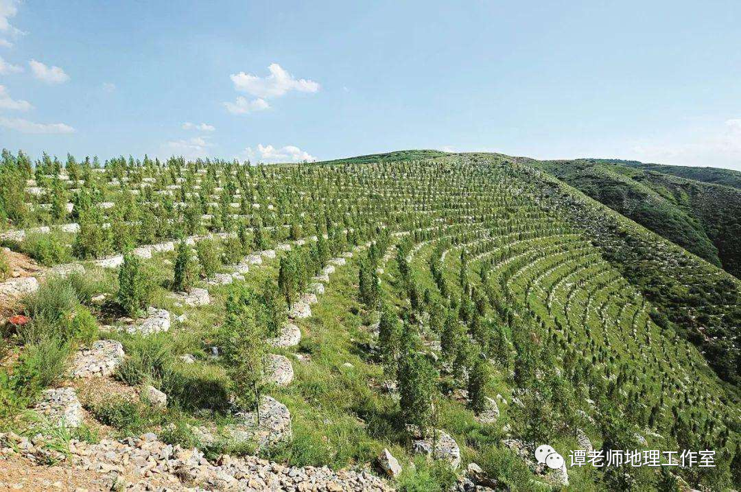 草方格沙障单价_草方格沙障_草方格治沙