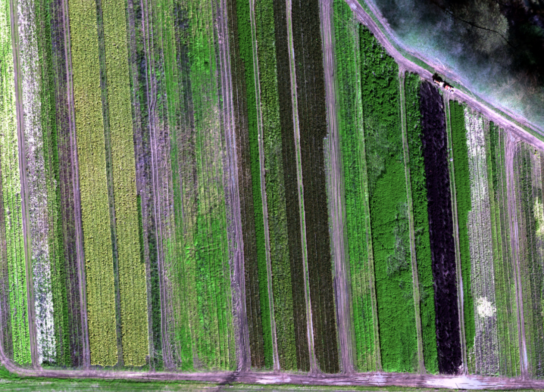 新的垂直起降固定翼测绘无人机发布，机身、有效载荷、数据采集能力更强的图2