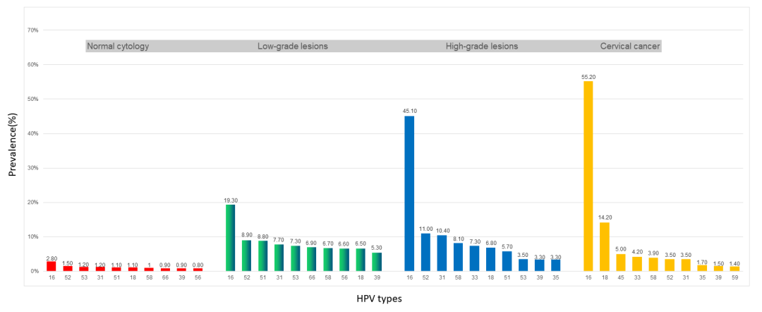hpvdna分型分为什么型GOCM专栏丨高危型HPV基因分型和病毒载量在宫颈癌和癌前病变中的临床意义_https://www.jmylbn.com_新闻资讯_第5张