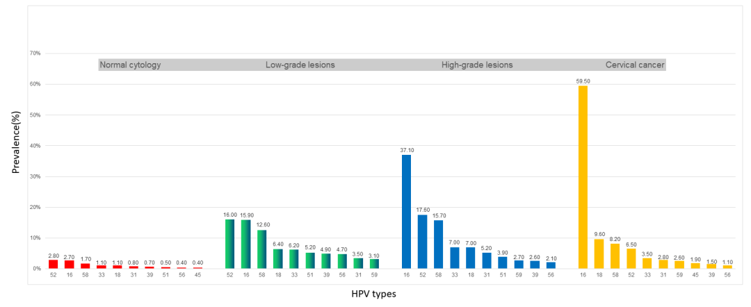 hpvdna分型分为什么型GOCM专栏丨高危型HPV基因分型和病毒载量在宫颈癌和癌前病变中的临床意义_https://www.jmylbn.com_新闻资讯_第7张