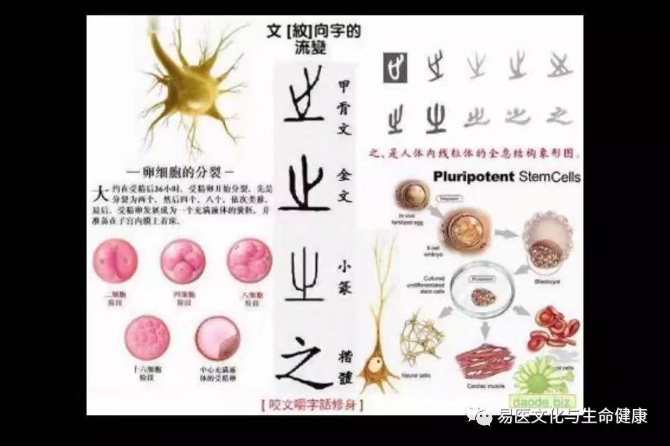 道德知音 道德复兴传播弘扬中华道德心文化 弘扬中国传统文化 自立 立他 德道行天下