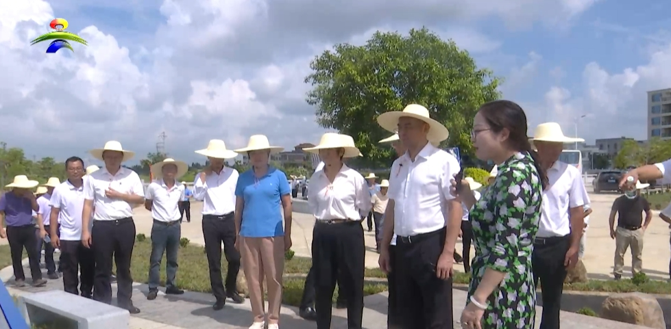 市委书记庞晓冬督导省委巡视反馈问题整改及“百千万工程”典型镇村培育建设工作