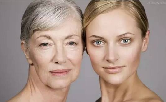 周末故事：最好的抗衰老候选药物是二甲双胍？