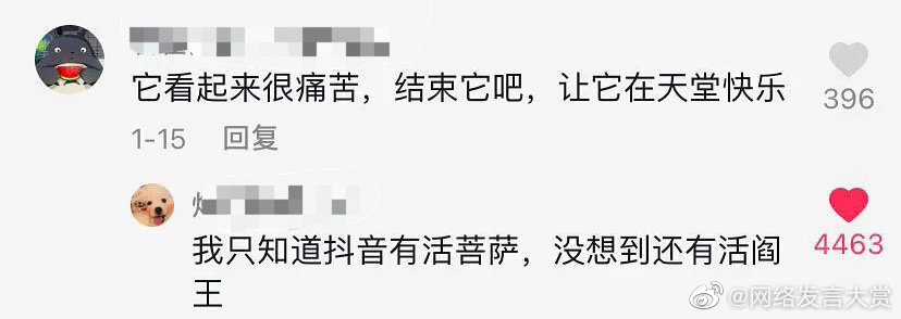 “千万不要看某音的评论区!!简直有毒啊哈哈哈哈哈!”