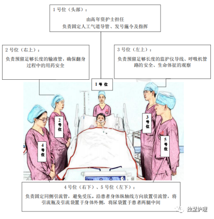 什么病忌用翻身床为什么危重患者有时候为什么要“趴着”？_https://www.jmylbn.com_新闻资讯_第5张