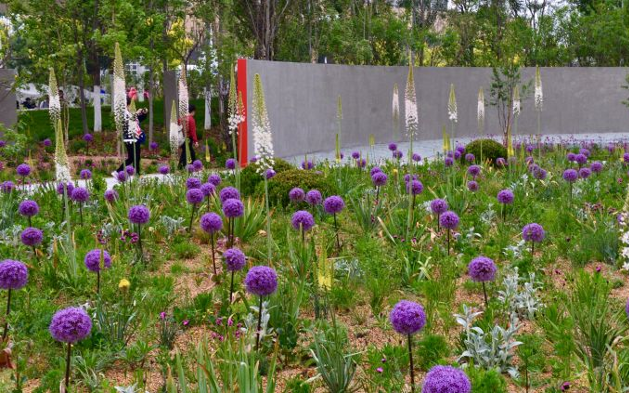 草本植物群落图片