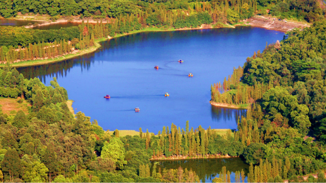 广州番禺【龙光天瀛】在售户型89-130㎡