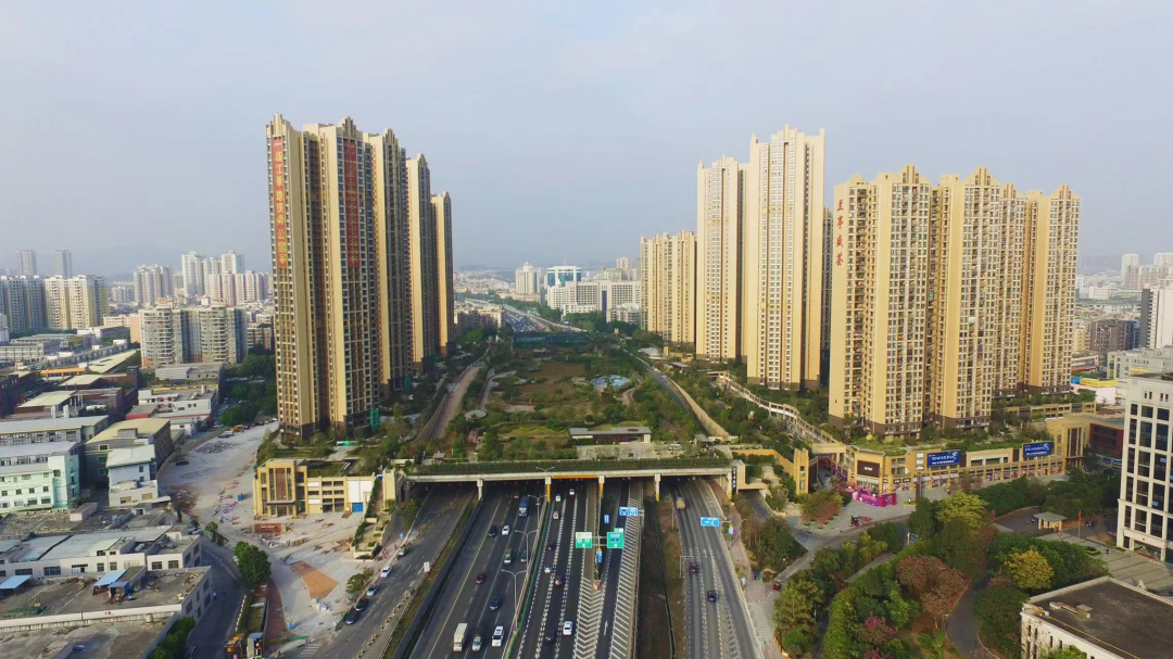 金融城、鱼珠、广氮奥体、牛奶厂，这四个板块哪个未来涨幅更大？