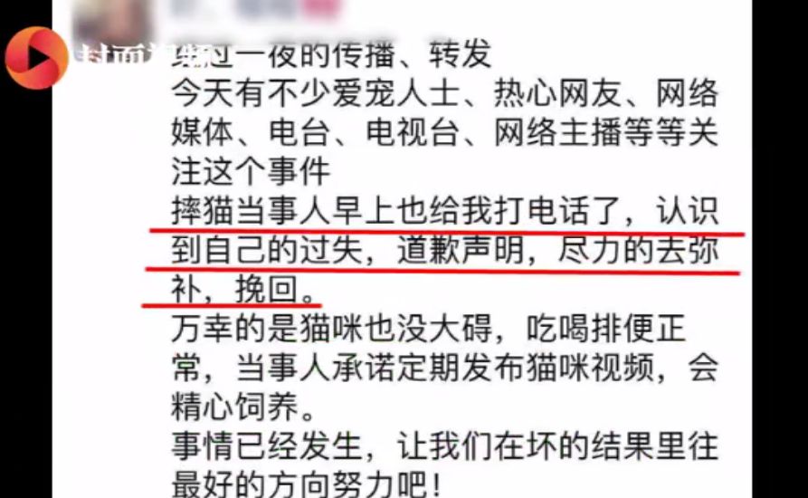 退貓不成當眾虐貓，竟然還口口聲聲說自己愛貓？ 寵物 第17張