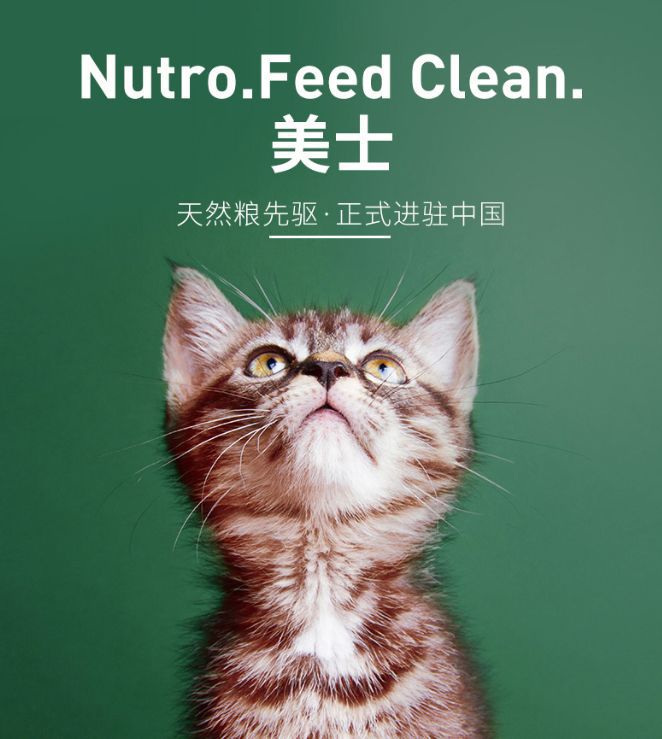 我養的不是貓，是莫得感情的吃飯機器… 寵物 第22張