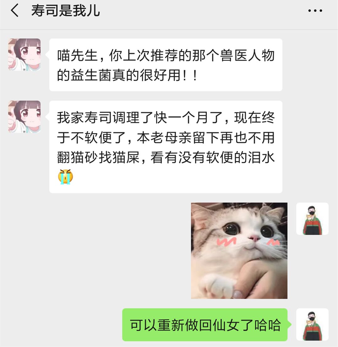 去年双十一我买了100斤猫砂 邻居还以为我买的水泥搞装修 猫来了 微信公众号文章阅读 Wemp
