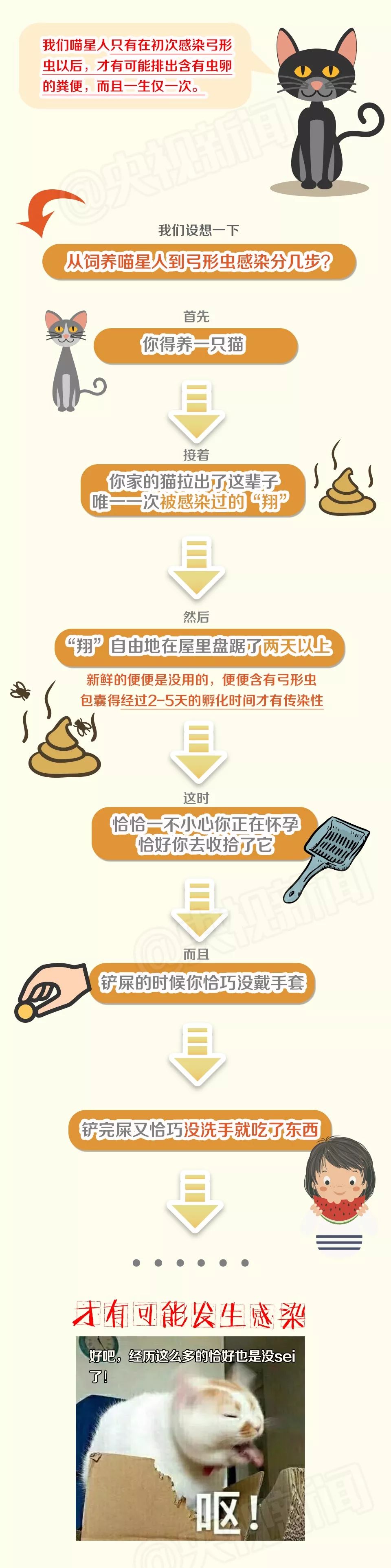 央视辟谣怀孕不能养宠物原文_央视辟谣怀孕不能养宠物_央视辟谣怀孕不能养狗视频