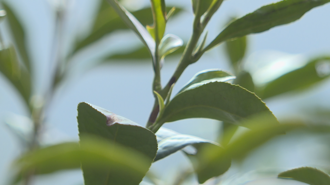 14608783771528 (1920×1080).png