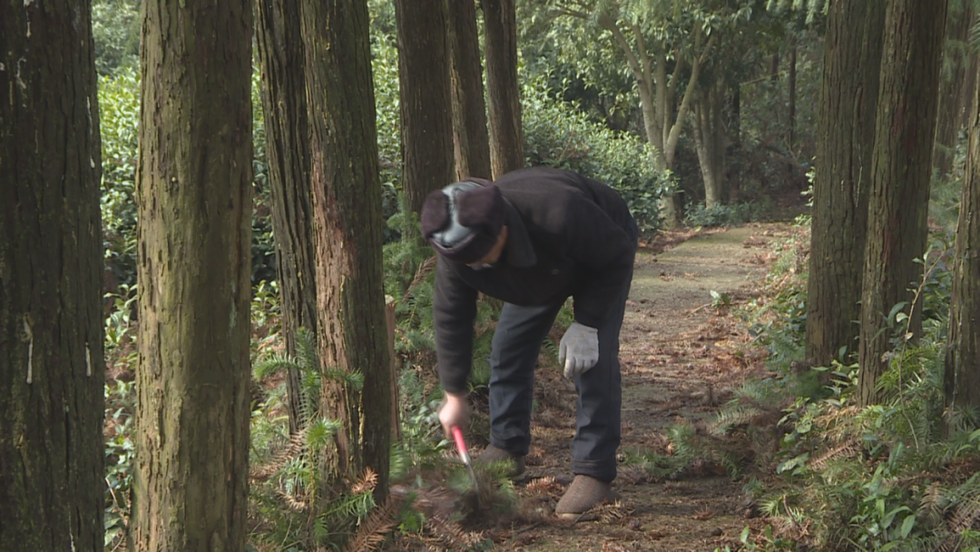 14608786765768 (1920×1080).png