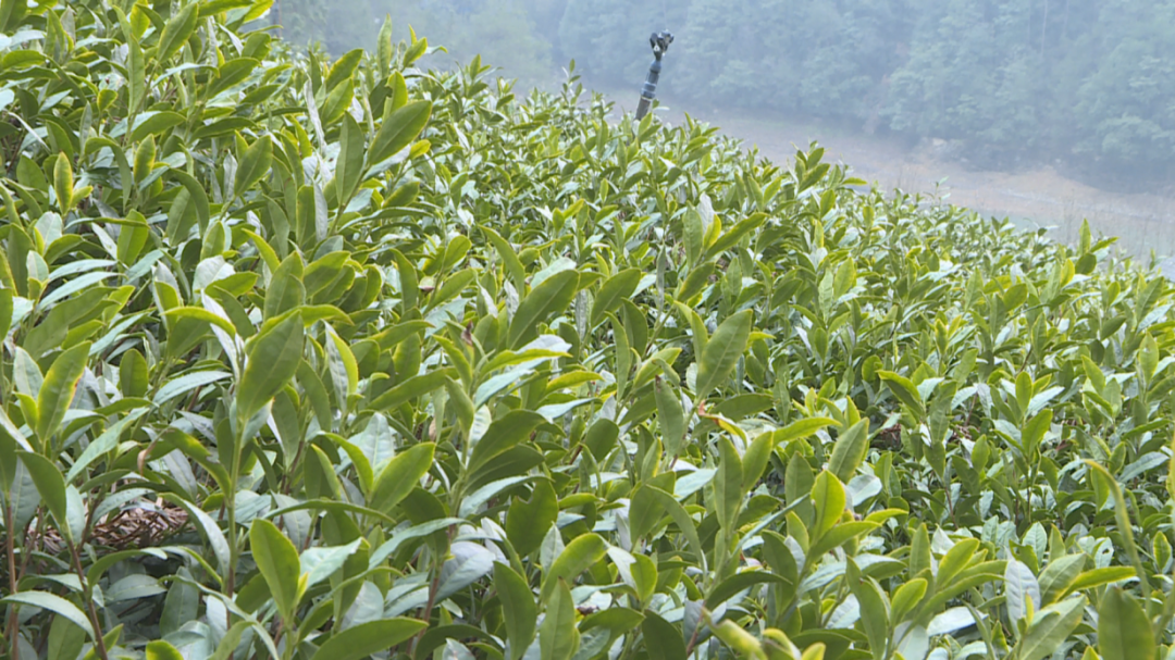 14608786096776 (1920×1080).png