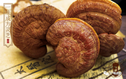 一味成方泰山灵芝切片上市啦！全套灵芝吃法送给你