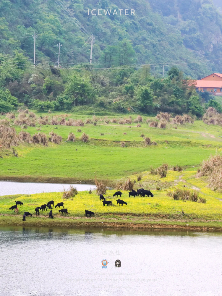 蓝天沙滩|高山云海江南小镇|千年古郡郴州「免费景点大全」请收好!