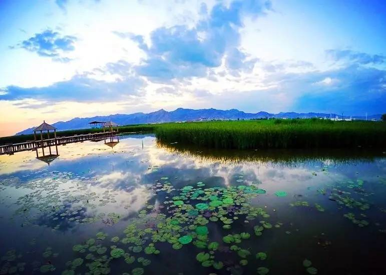 2023年五一小长假即将来临~呼和浩特旅游攻略来咯！