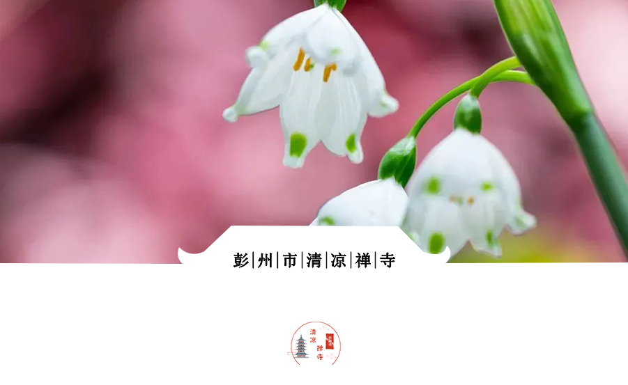 算卦看香准不准_看香算命的准不准_看香算命准吗能信吗