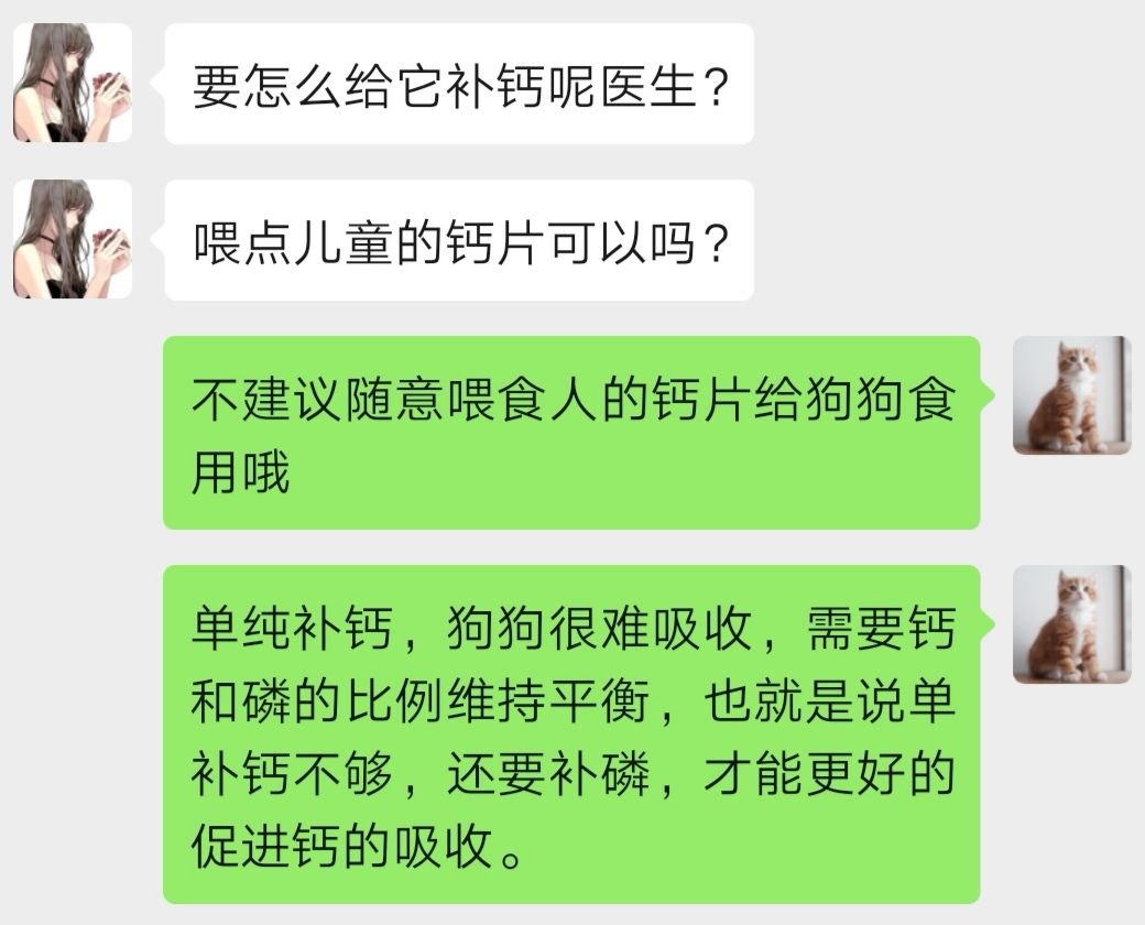 我要請TA吃1年主糧！另外這裡有521份狗糧免費送！ 寵物 第26張