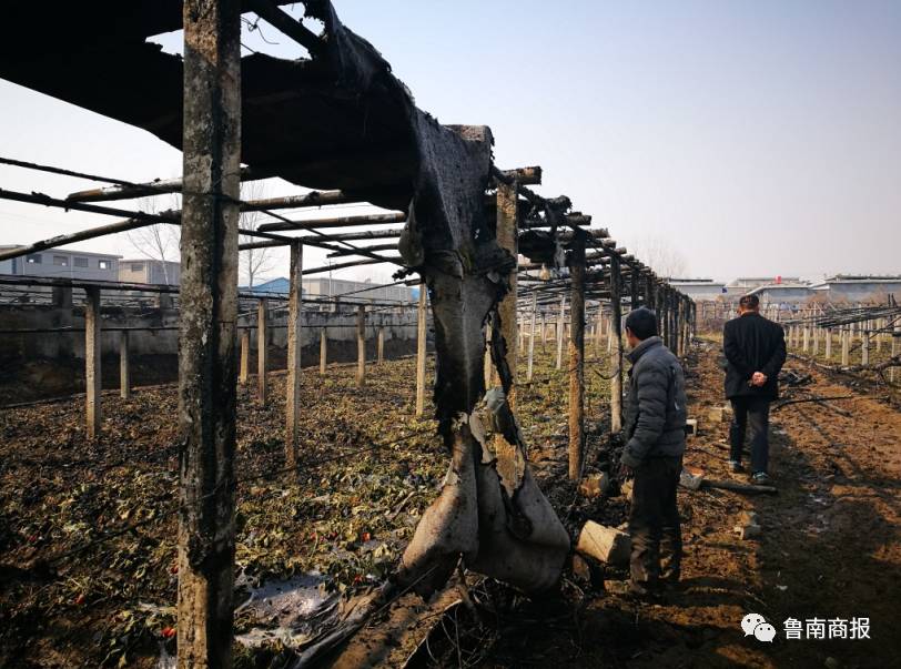 昨夜烧毁临沂大棚的孔明灯上写着,祝心想事成,健康平安