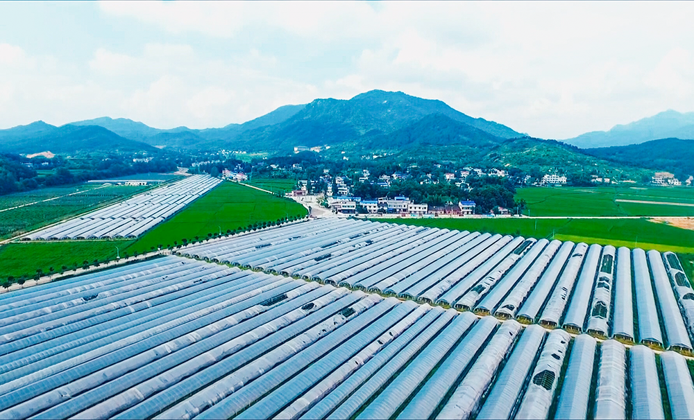 【勇夺开门红】洗马镇:实干跑出加速度 奋进勇夺"开门红"_云上浠水