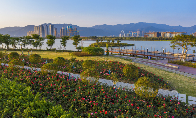 最新航拍这里是肇庆砚阳湖省级旅游度假区