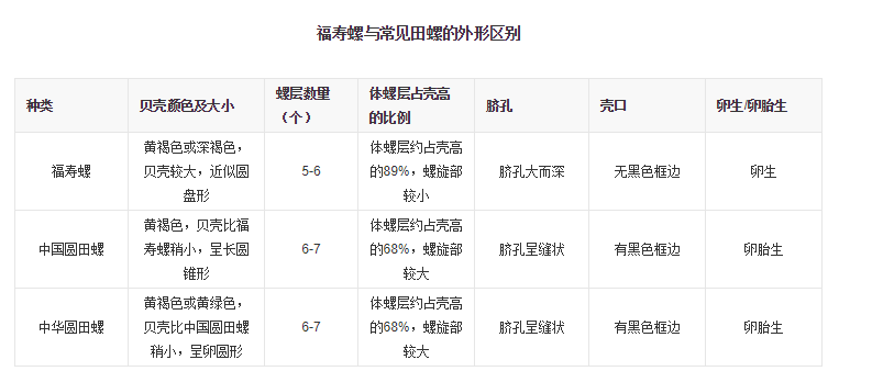 福寿螺【提醒】多地已出现，这种东西别误食！寄生虫多达6000条，严重可致死！