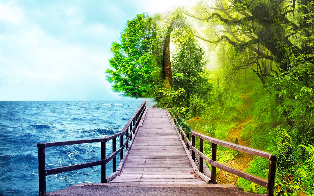 640?wx_fmt=png&tp=webp&wxfrom=5&wx_lazy=1&wx_co=1