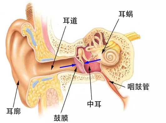 微信图片_20260402191329_1120_1592.png