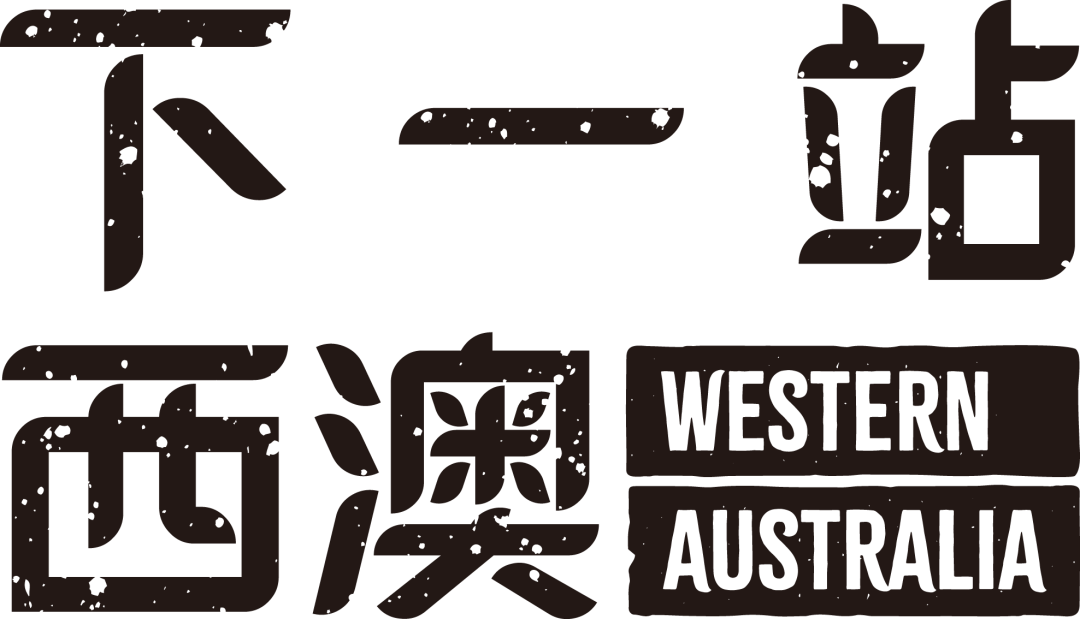 新罗特尼斯岛登录指南，请查收！ - 29