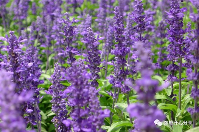 实践反馈：中医菜鸟妈妈用中成药轻松搞定宝宝感冒发烧