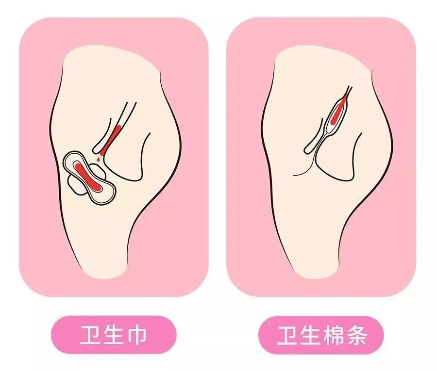 原味内内在哪能买到