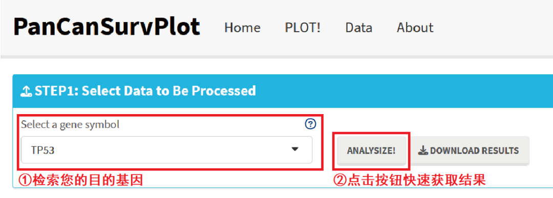 PanCanSurvPlot： 一款解决泛肿瘤KM生存分析的Shiny网页工具