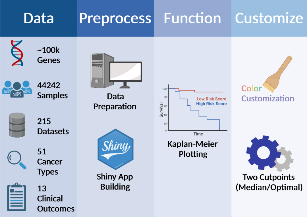 PanCanSurvPlot： 一款解决泛肿瘤KM生存分析的Shiny网页工具