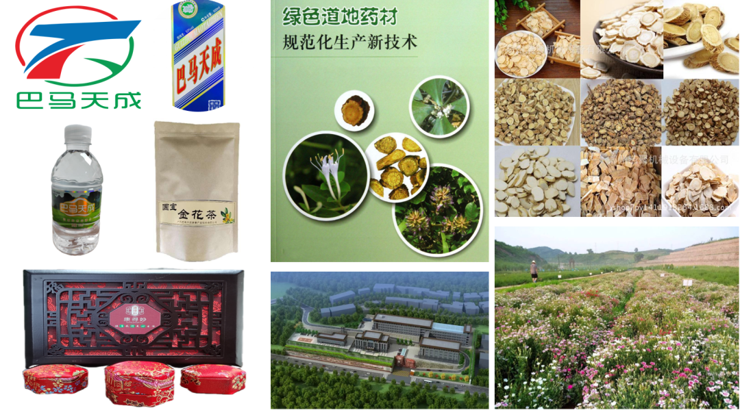 群英荟萃3.0，中关村品牌工程大健康平台星光灿烂