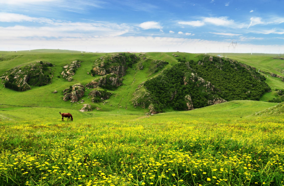 黄花沟旅游景区图片图片