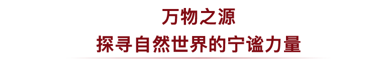 卡地亚红毯 最会抢戏的 是这位 裁缝 姐姐 If爱与美好微信公众号文章