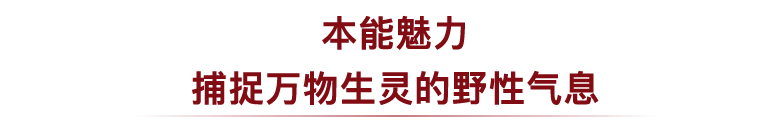 卡地亚红毯 最会抢戏的 是这位 裁缝 姐姐 If爱与美好微信公众号文章