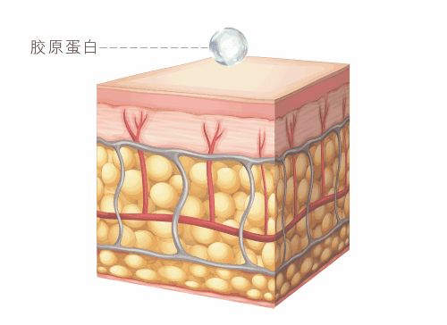 羨慕她，40 歲還擁有女團級發量！ 家居 第36張