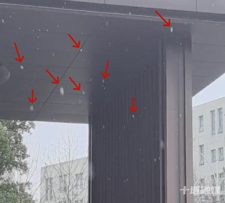 十堰雪“闪现”！今早飘雪下午转晴 暖冬模式一键切换