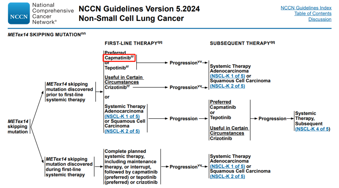 卡马替尼国内获批上市，MET ex14跳跃突变非小细胞肺癌一线再迎新药！