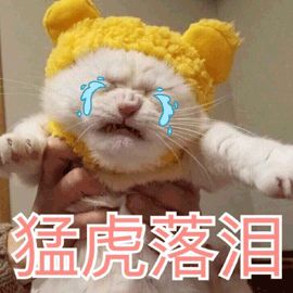 手术减肥_减肥手术多少钱_减肥手术有哪些方法