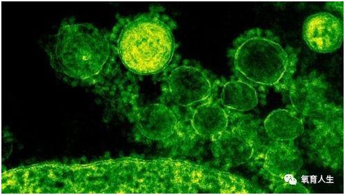 耳麦吸氧管怎么应用新型冠状病毒肺炎与吸氧_https://www.jmylbn.com_新闻资讯_第4张