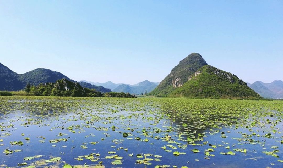 別工作了，我帶你去雲南這個仙境過一生 旅行 第23張